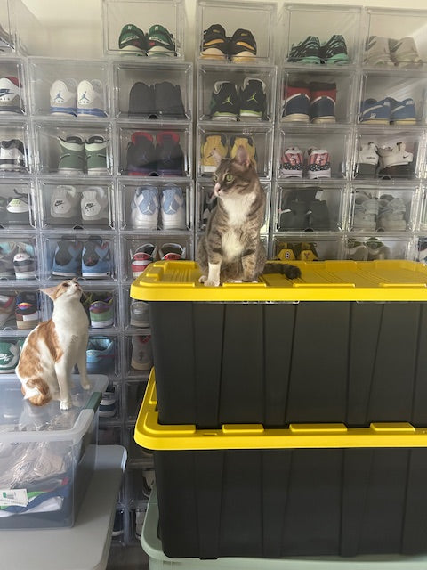 Meet The Team