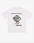 Cactus Store Lophophora WIlliamsii T-Shirt White - M