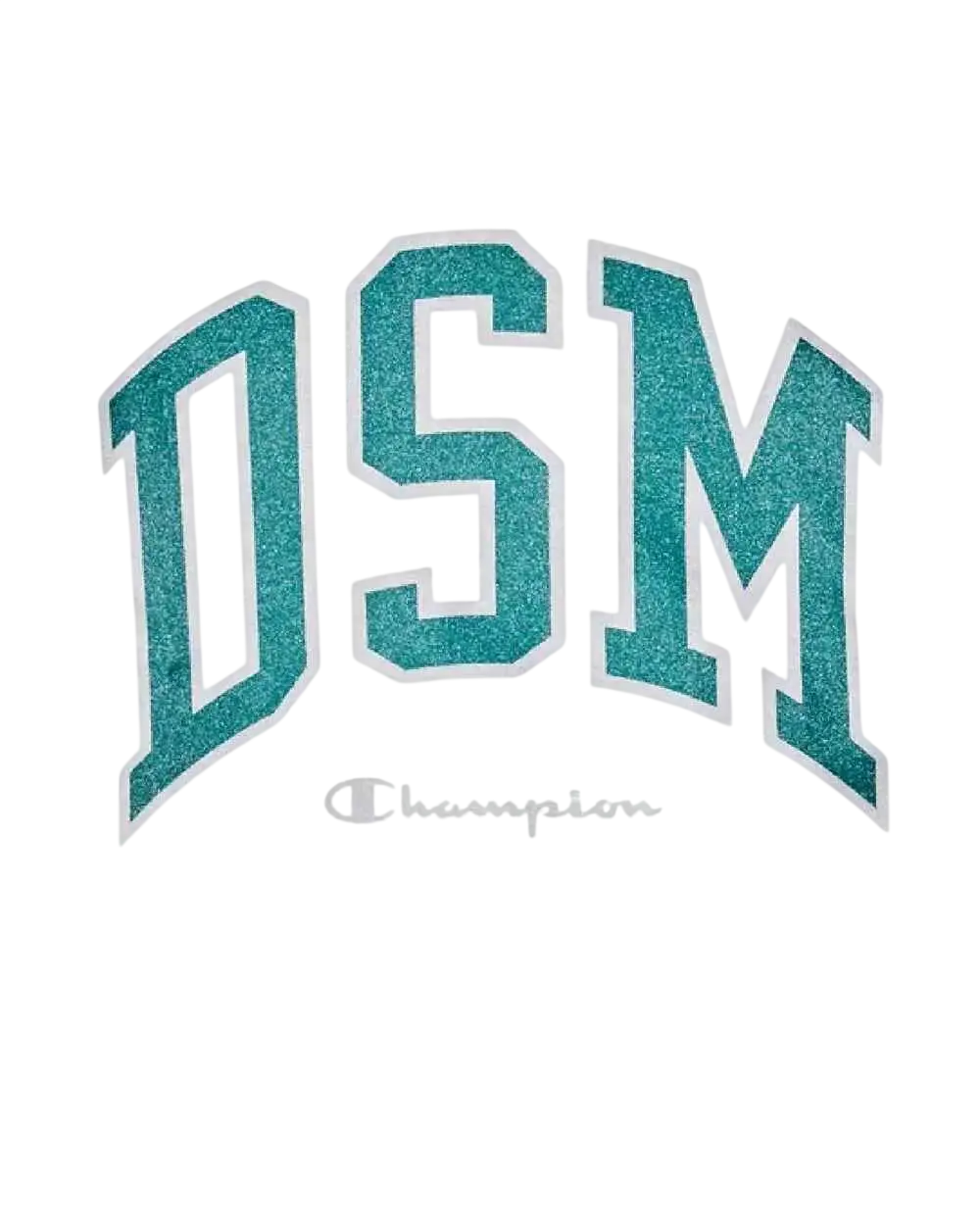 Teal glittery dsm lettering with white outline in an arch on the back of a Champion x Dover Street Market white long sleeve crew