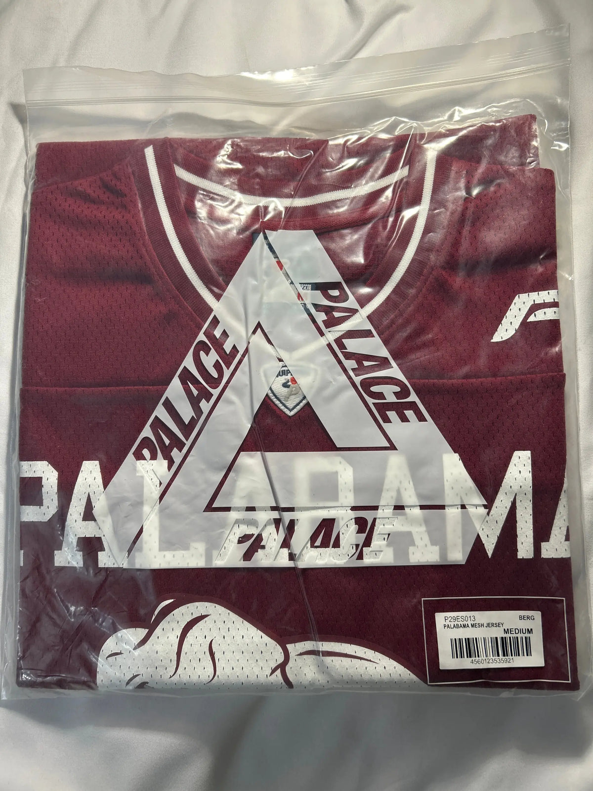 Palace Palabama Mesh Jersey Berg Medium w/Matching Palabama P Frame 5-Panel