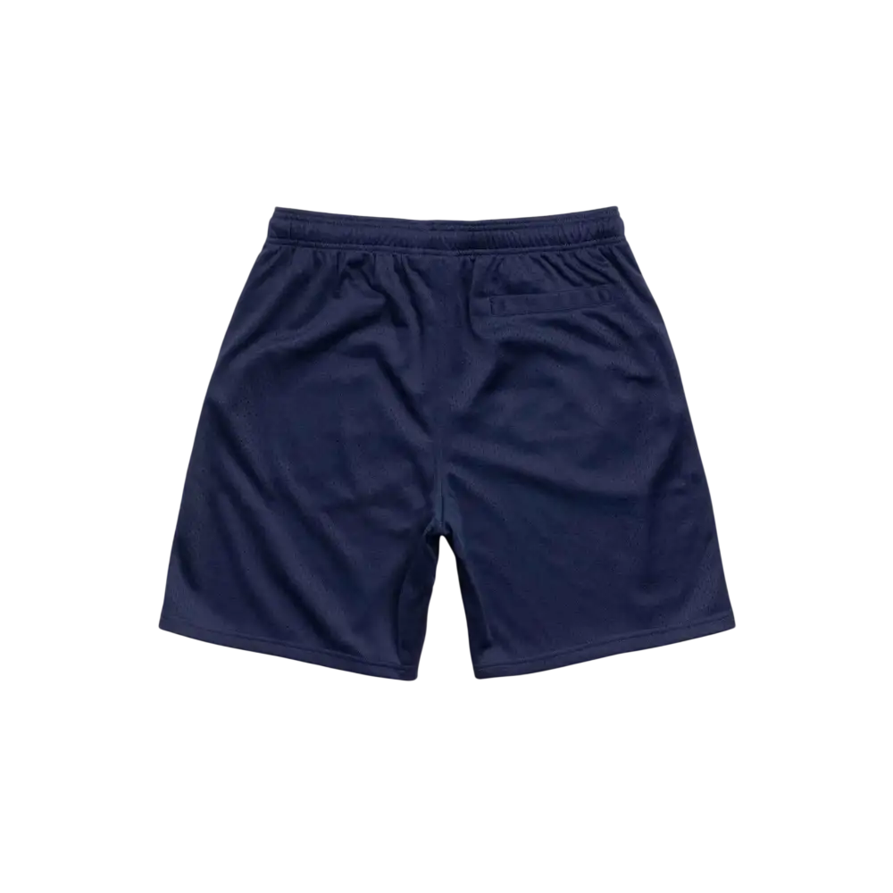 Stussy Basic Mesh Shorts Blue - M