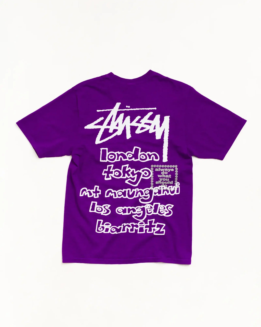 Stussy x ADWYSD World Tour Tee Purple Large