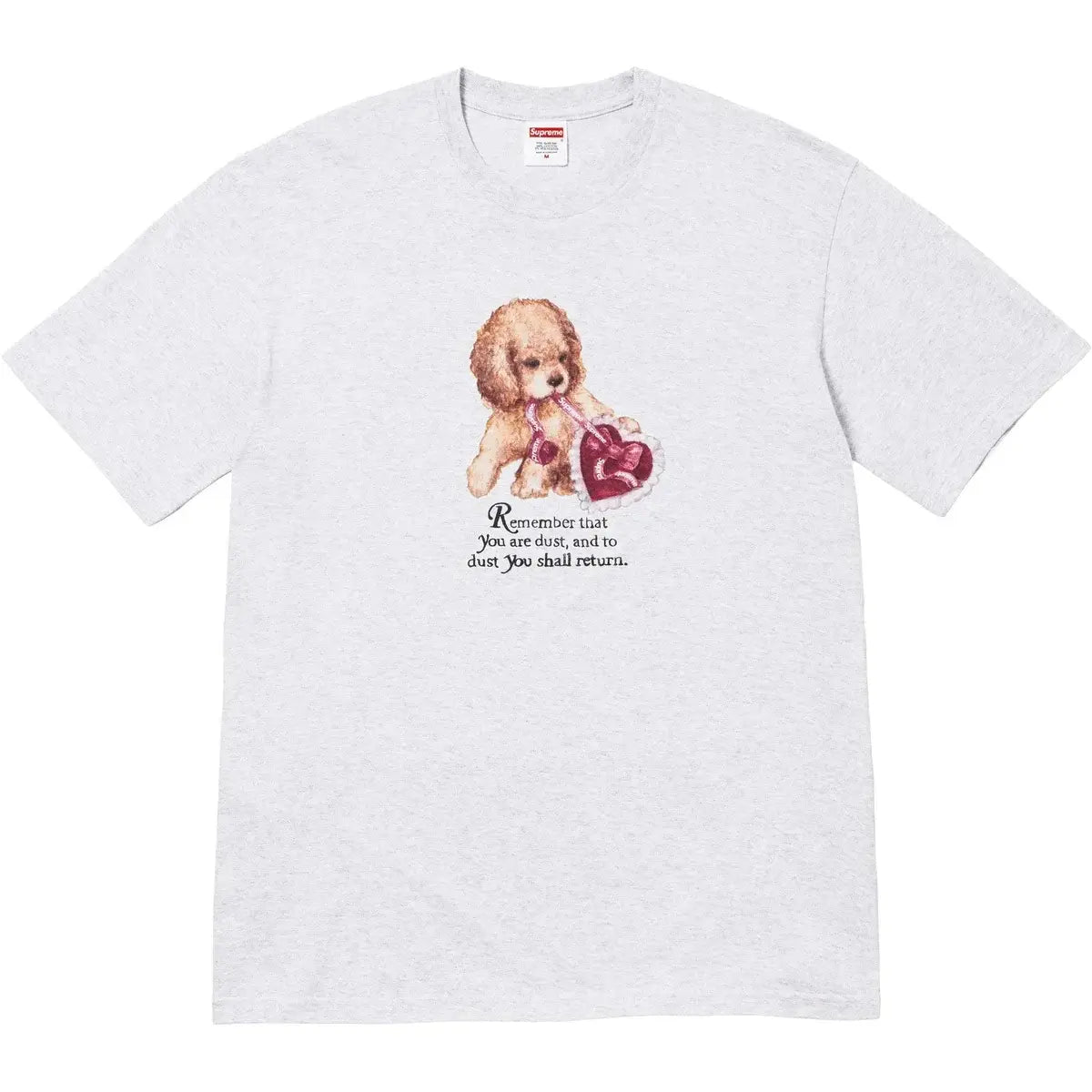 Supreme Dust Tee Ash Grey - L