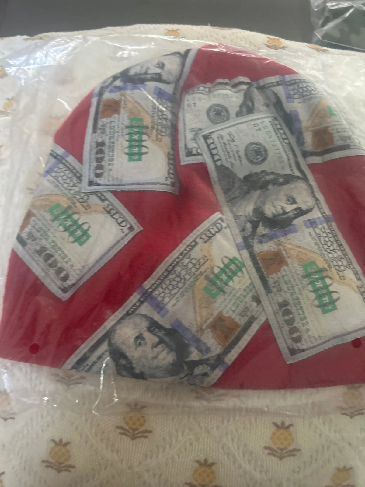Supreme Money Beanie Red