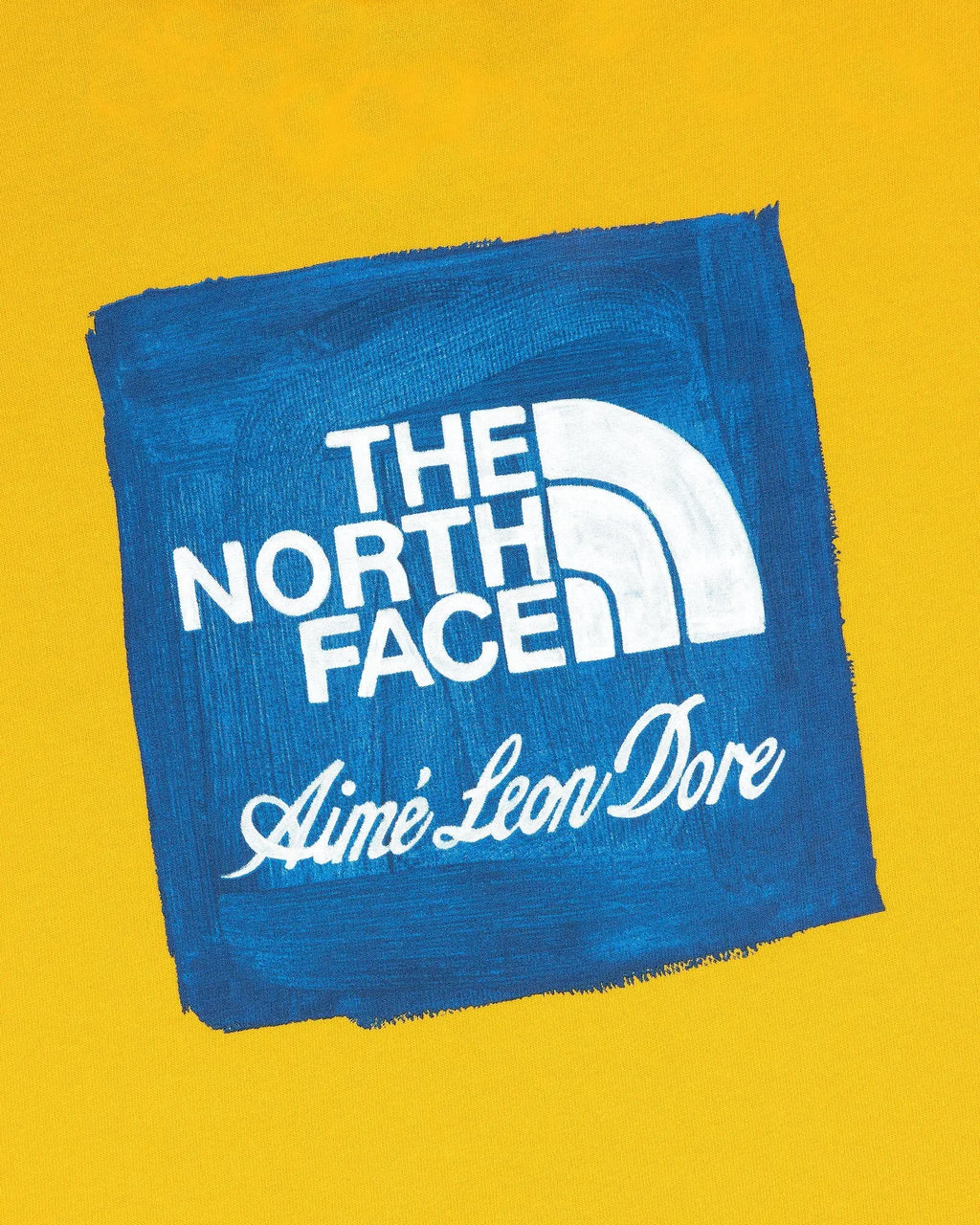 Blue painted patch with white the north face logo and aimé leon dore script on the front of the t-shirt gold
